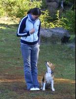 obr�zek: pavlina_sunny.jpg; rozli�en�: 309 � 400 px; velikost 24 kB;
