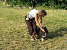 obr�zek: img_0990_v.jpg; rozli�en�: 640 � 480 px; velikost 78 kB;