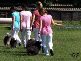 obr�zek: tn_ukazka_pardubice1.jpg; rozli�en�: 267 � 200 px; velikost 13 kB;