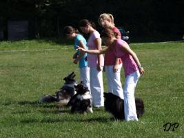obr�zek: tn_ukazka_pardubice5.jpg; rozli�en�: 267 � 200 px; velikost 11 kB;