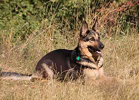 obr�zek: tn_imgp6218.jpg; rozli�en�: 277 � 200 px; velikost 43 kB;