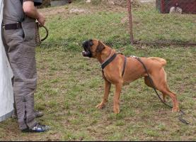 obr�zek: tn_imgp4729.jpg; rozli�en�: 277 � 200 px; velikost 15 kB;