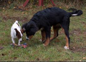 obr�zek: tn_imgp2124.jpg; rozli�en�: 277 � 200 px; velikost 14 kB;