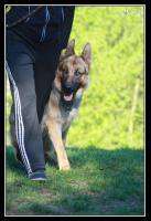 obr�zek: tn_img_3801.jpg; rozli�en�: 137 � 200 px; velikost 7 kB;