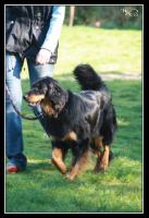 obr�zek: tn_img_3823.jpg; rozli�en�: 137 � 200 px; velikost 7 kB;