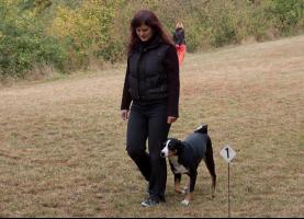 obr�zek: tn_imgp2026.jpg; rozli�en�: 277 � 200 px; velikost 12 kB;