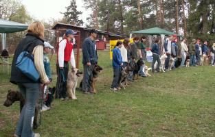 obr�zek: pict0023.jpg; rozli�en�: 640 � 407 px; velikost 63 kB;