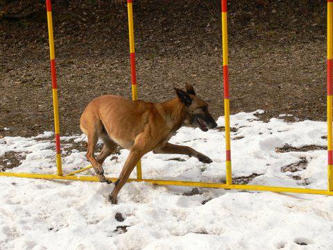 obrázek: uvod_kvete.jpg; rozlišení: 480 × 360 px; velikost 45 kb;