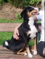 obrázek: tn_abora.jpg; rozlišení: 153 × 200 px; velikost 7 kb;