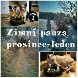 obrázek: tc_pauza.jpg; rozlišení: 300 × 300 px; velikost 25 kb;