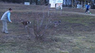 obrázek: tn_coursing_brno4.jpg; rozlišení: 400 × 225 px; velikost 20 kb;