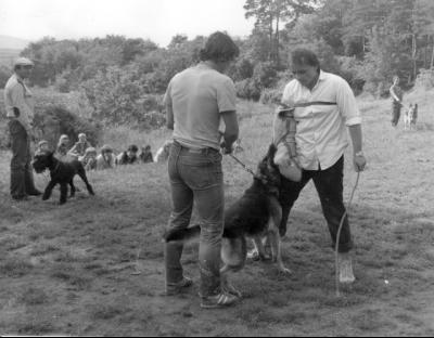 obrázek: tn_historie2.jpg; rozlišení: 400 × 312 px; velikost 22 kb;