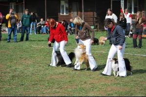 obrázek: tn_image005.jpg; rozlišení: 299 × 200 px; velikost 16 kb;