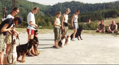 obrázek: tn_ukazka_olesna03.jpg; rozlišení: 400 × 219 px; velikost 20 kb;