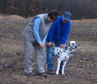 obrázek: tn_vetik1.jpg; rozlišení: 400 × 350 px; velikost 27 kb;