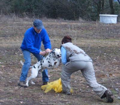 obrázek: tn_vetik2.jpg; rozlišení: 400 × 350 px; velikost 31 kb;
