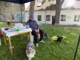 obrázek: tn_7.jpg; rozlišení: 267 × 200 px; velikost 13 kb;