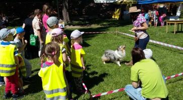 obrázek: tn_20170519_105019.jpg; rozlišení: 364 × 200 px; velikost 20 kb;
