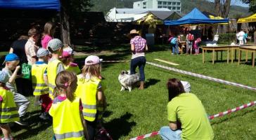 obrázek: tn_20170519_105024.jpg; rozlišení: 364 × 200 px; velikost 21 kb;