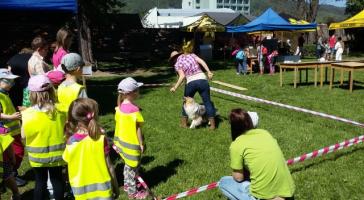 obrázek: tn_20170519_105030.jpg; rozlišení: 364 × 200 px; velikost 20 kb;
