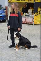 obrázek: tn_c05.jpg; rozlišení: 133 × 200 px; velikost 7 kb;
