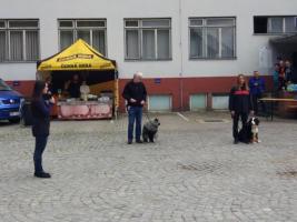 obrázek: tn_c06.jpg; rozlišení: 267 × 200 px; velikost 10 kb;