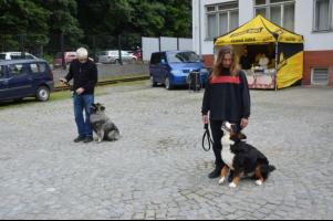 obrázek: tn_c07.jpg; rozlišení: 301 × 200 px; velikost 13 kb;