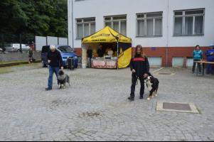 obrázek: tn_c08.jpg; rozlišení: 301 × 200 px; velikost 12 kb;