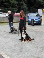 obrázek: tn_c088.jpg; rozlišení: 150 × 200 px; velikost 7 kb;