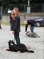 obrázek: tn_c10.jpg; rozlišení: 150 × 200 px; velikost 7 kb;