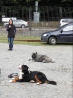 obrázek: tn_c11.jpg; rozlišení: 150 × 200 px; velikost 7 kb;