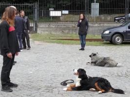 obrázek: tn_c12.jpg; rozlišení: 267 × 200 px; velikost 12 kb;