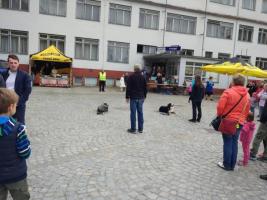 obrázek: tn_c14.jpg; rozlišení: 267 × 200 px; velikost 12 kb;