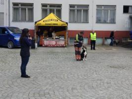 obrázek: tn_c17.jpg; rozlišení: 267 × 200 px; velikost 10 kb;