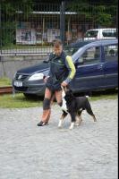 obrázek: tn_c19.jpg; rozlišení: 133 × 200 px; velikost 6 kb;