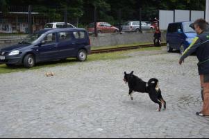 obrázek: tn_c20.jpg; rozlišení: 301 × 200 px; velikost 12 kb;