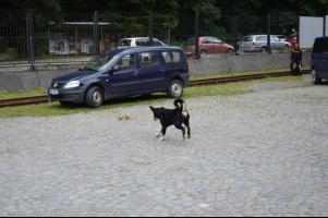 obrázek: tn_c21.jpg; rozlišení: 301 × 200 px; velikost 11 kb;