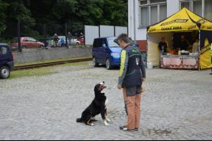 obrázek: tn_c22.jpg; rozlišení: 301 × 200 px; velikost 13 kb;