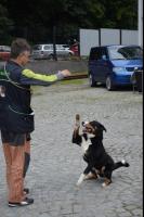 obrázek: tn_c24.jpg; rozlišení: 133 × 200 px; velikost 6 kb;