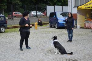 obrázek: tn_c25.jpg; rozlišení: 301 × 200 px; velikost 13 kb;