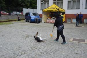 obrázek: tn_c28.jpg; rozlišení: 301 × 200 px; velikost 12 kb;