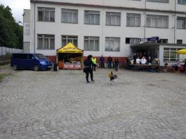 obrázek: tn_c29.jpg; rozlišení: 267 × 200 px; velikost 11 kb;