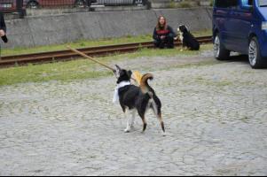 obrázek: tn_c30.jpg; rozlišení: 301 × 200 px; velikost 12 kb;
