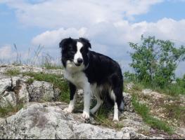 obrázek: tn_image00024.jpg; rozlišení: 263 × 200 px; velikost 12 kb;