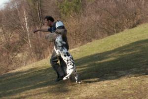 obrázek: tn_0166.jpg; rozlišení: 300 × 200 px; velikost 12 kb;