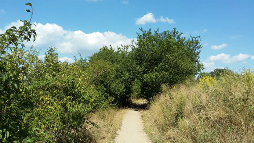 obrázek: cesta.jpg; rozlišení: 500 × 281 px; velikost 62 kb;