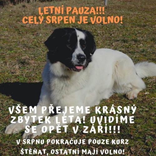 obrázek: tc_lpauza.jpg; rozlišení: 500 × 500 px; velikost 54 kb;