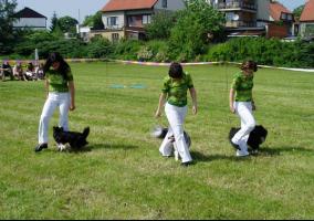 obrázek: tn_tanec02.jpg; rozlišení: 284 × 200 px; velikost 14 kb;