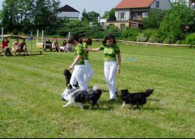 obrázek: tn_tanec03.jpg; rozlišení: 280 × 200 px; velikost 14 kb;