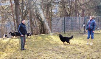 obrázek: tn_05.jpg; rozlišení: 339 × 200 px; velikost 20 kb;